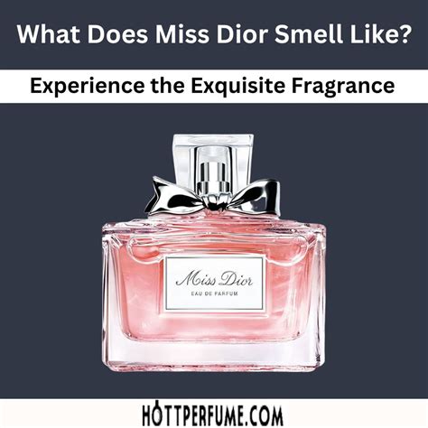 miss dior fragantica|what does miss dior perfume smell like.